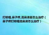 打喷嚏,鼻子痒,流鼻涕是怎么治疗（鼻子痒打喷嚏流鼻涕怎么治疗）