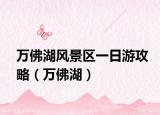 万佛湖风景区一日游攻略（万佛湖）