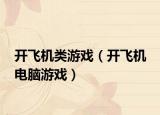 开飞机类游戏（开飞机 电脑游戏）