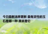 今日最新消息更新 最有灵性的玉石是哪一种 原来是它