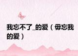 我忘不了_的爱（毋忘我的爱）