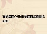 审美层面介绍(审美层面详细情况如何)