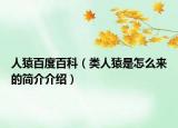 人猿百度百科（类人猿是怎么来的简介介绍）