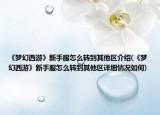 《梦幻西游》新手服怎么转到其他区介绍(《梦幻西游》新手服怎么转到其他区详细情况如何)