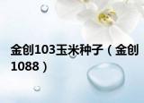 金创103玉米种子（金创1088）