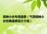 精神小伙专用语录（气质精神小伙经典语录简介介绍）