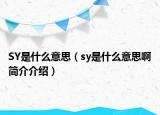 SY是什么意思（sy是什么意思啊简介介绍）