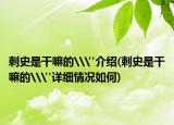 刺史是干嘛的\