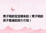 黄子韬的宝宝哪来的（黄子韬的孩子是谁的简介介绍）