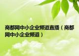 商都网中小企业频道直播（商都网中小企业频道）