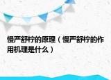 慢严舒柠的原理（慢严舒柠的作用机理是什么）