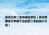 苏州大学二本有哪些学校（苏州有哪些大学哪个比较好二本的简介介绍）