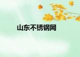 山东不锈钢网