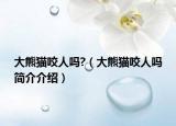 大熊猫咬人吗?（大熊猫咬人吗简介介绍）