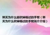 郭芙为什么能砍掉杨过的手臂（郭芙为什么砍掉杨过的手臂简介介绍）