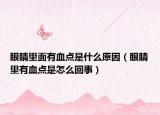 眼睛里面有血点是什么原因（眼睛里有血点是怎么回事）