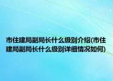 市住建局副局长什么级别介绍(市住建局副局长什么级别详细情况如何)