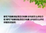 睫毛下的眼泪坠落花已枯萎(这句该怎么评论介绍 睫毛下的眼泪坠落花已枯萎 这句该怎么评论详细情况如何)
