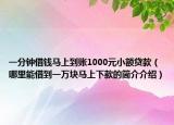 一分钟借钱马上到账1000元小额贷款（哪里能借到一万块马上下款的简介介绍）