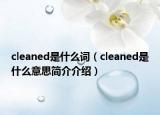 cleaned是什么词（cleaned是什么意思简介介绍）