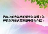 汽车上的火花塞的型号怎么看（怎样识别汽车火花塞型号简介介绍）