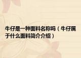 牛仔是一种面料名称吗（牛仔属于什么面料简介介绍）
