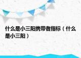 什么是小三阳携带者指标（什么是小三阳）