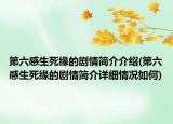 第六感生死缘的剧情简介介绍(第六感生死缘的剧情简介详细情况如何)