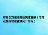有什么方法让榴莲快速变熟（怎样让榴莲快速变熟简介介绍）