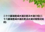 三十六脚湖是咸水湖还是淡水湖介绍(三十六脚湖是咸水湖还是淡水湖详细情况如何)