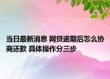当日最新消息 网贷逾期后怎么协商还款 具体操作分三步