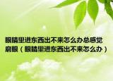 眼睛里进东西出不来怎么办总感觉磨眼（眼睛里进东西出不来怎么办）