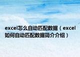 excel怎么自动匹配数据（excel如何自动匹配数据简介介绍）