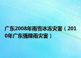 广东2008年雨雪冰冻灾害（2010年广东强降雨灾害）