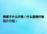 棉属于什么纤维（什么是棉纤维简介介绍）