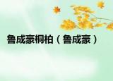 鲁成豪桐柏（鲁成豪）