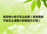 床垫有小虫子怎么处理（床垫有虫子该怎么清理小妙招简介介绍）