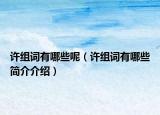许组词有哪些呢（许组词有哪些简介介绍）
