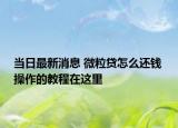 当日最新消息 微粒贷怎么还钱 操作的教程在这里