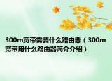 300m宽带需要什么路由器（300m宽带用什么路由器简介介绍）