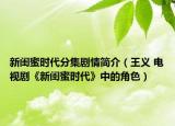 新闺蜜时代分集剧情简介（王义 电视剧《新闺蜜时代》中的角色）