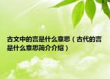 古文中的言是什么意思（古代的言是什么意思简介介绍）