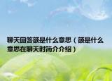 聊天回答额是什么意思（额是什么意思在聊天时简介介绍）