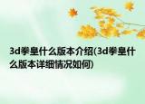 3d拳皇什么版本介绍(3d拳皇什么版本详细情况如何)