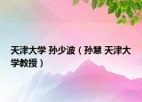天津大学 孙少波（孙慧 天津大学教授）