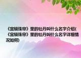 《宫锁珠帘》里的牡丹叫什么名字介绍(《宫锁珠帘》里的牡丹叫什么名字详细情况如何)