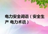 电力安全词语（安全生产 电力术语）