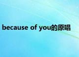 because of you的原唱