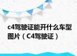 c4驾驶证能开什么车型图片（C4驾驶证）
