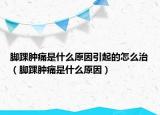 脚踝肿痛是什么原因引起的怎么治（脚踝肿痛是什么原因）